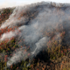 The fires spread when embers blew in from the nearby Smoky Mountains. Winds were as high as 90 mph on Monday. (Image: AP)